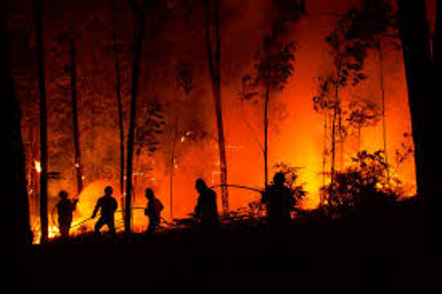 Dichiarazione di massima pericolosità per gli incendi boschivi